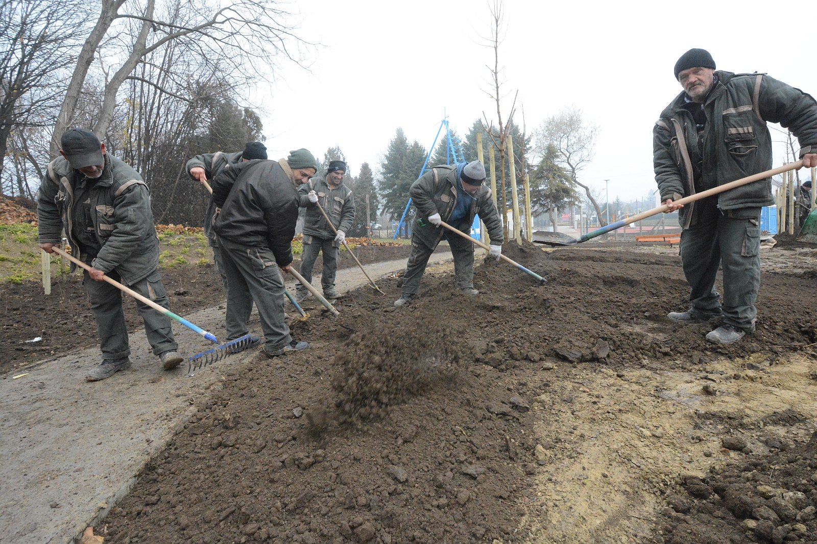 Fákat és bokrokat ültetnek a Túrózsáki úti szabadidőparkban